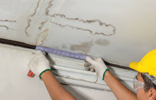 Reliable Mold Remediation contractor in Silverwood, MI by Local Water Damage Repair